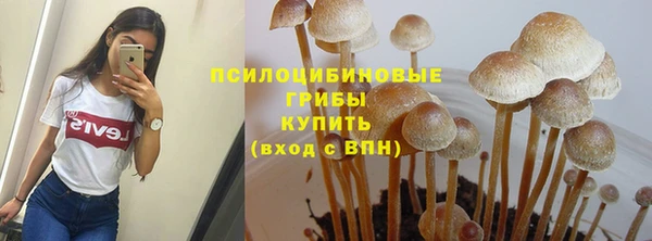Альфа ПВП Бронницы