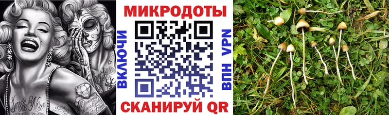 Псилоцибиновые грибы мухоморы  Купить где  Бирюсинск 